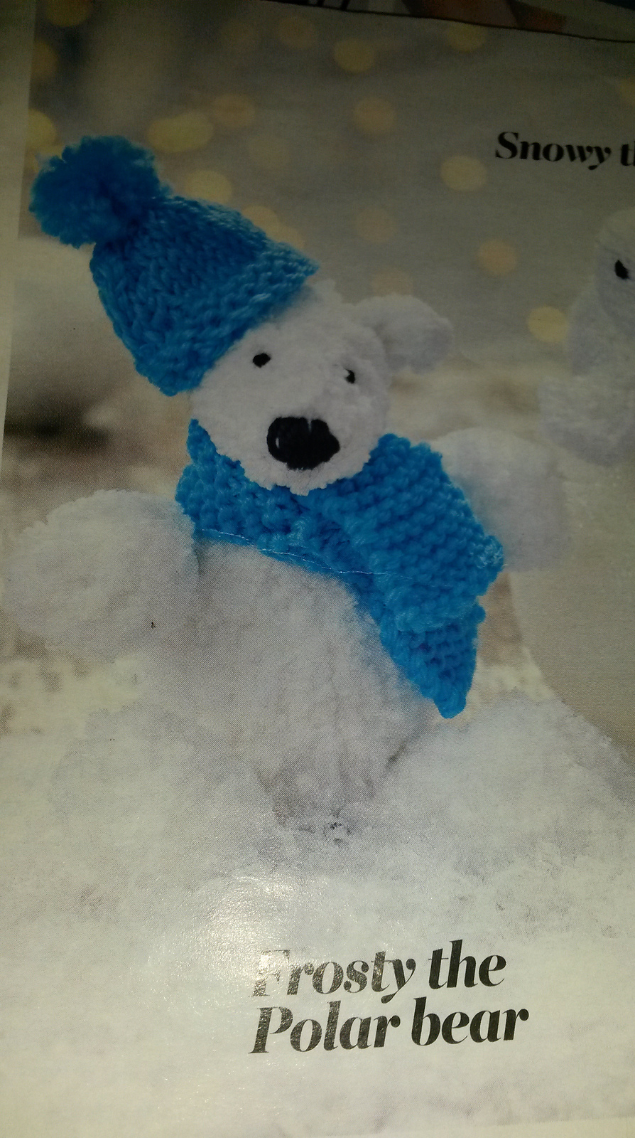 Frosty the Polar Bear by Sue Stratford